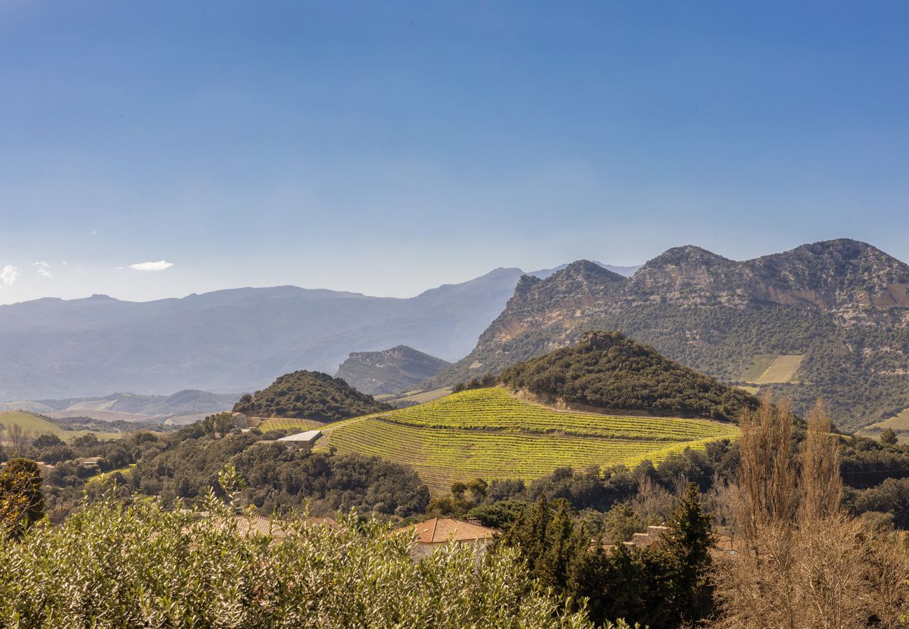 Ferienwohnung in Patrimonio - Fiore Di Vita