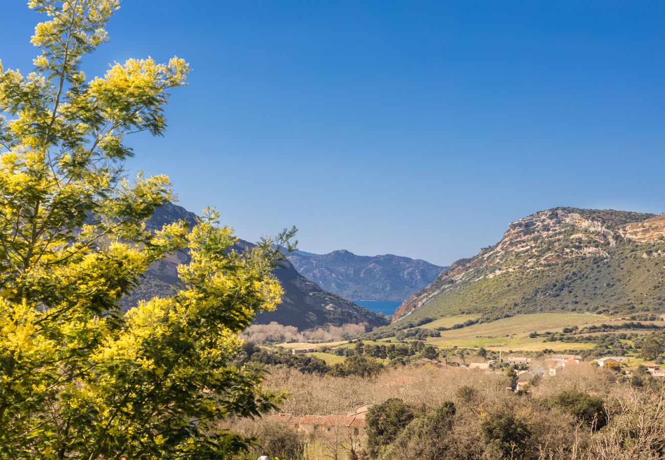 Ferienwohnung in Patrimonio - Fiore Di Vita