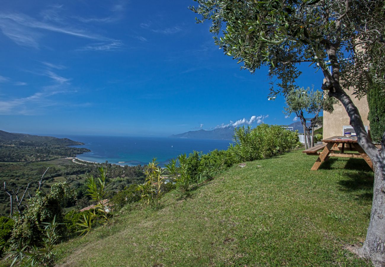 Villa a Saint-Florent - Villa Cléa