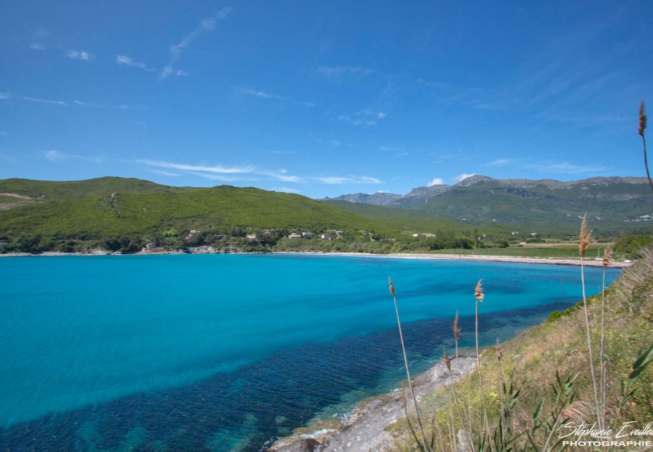 Appartamento a Erbalunga - Casa Estel - Bleu