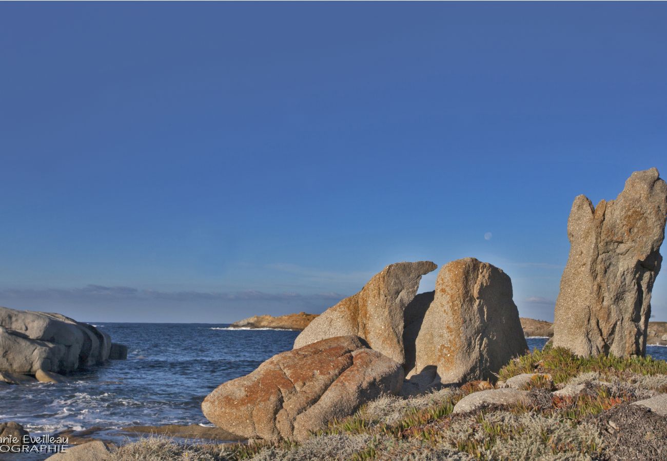 Appartamento a L'Île-Rousse - Casa Delia