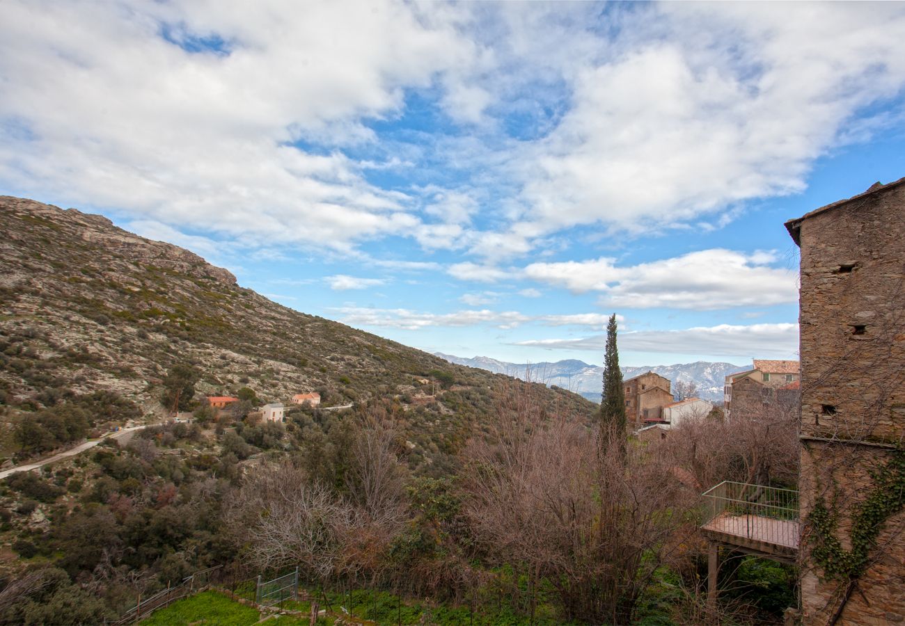 Appartamento a Santo-Pietro-di-Tenda - Casuccia