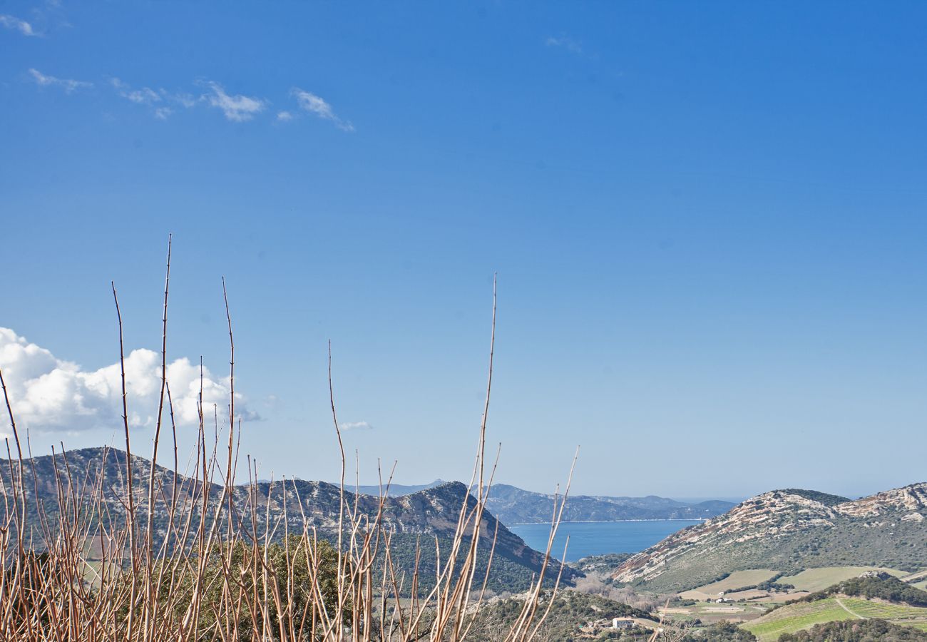 Appartamento a Barbaggio - Côté Conca d'Oro