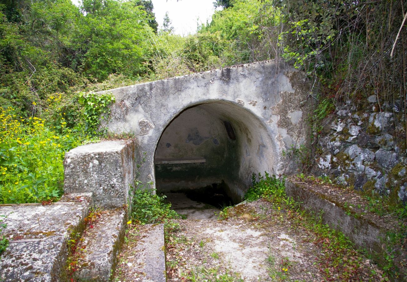 Casa a Olmi-Cappella - Casa Di Babbo