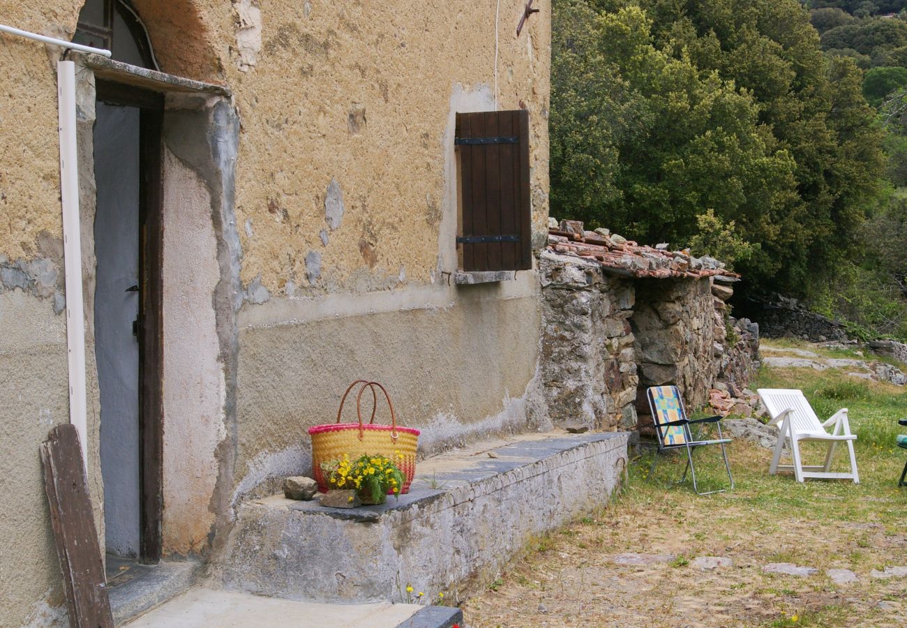 Casa a Olmi-Cappella - Casa Di Babbo