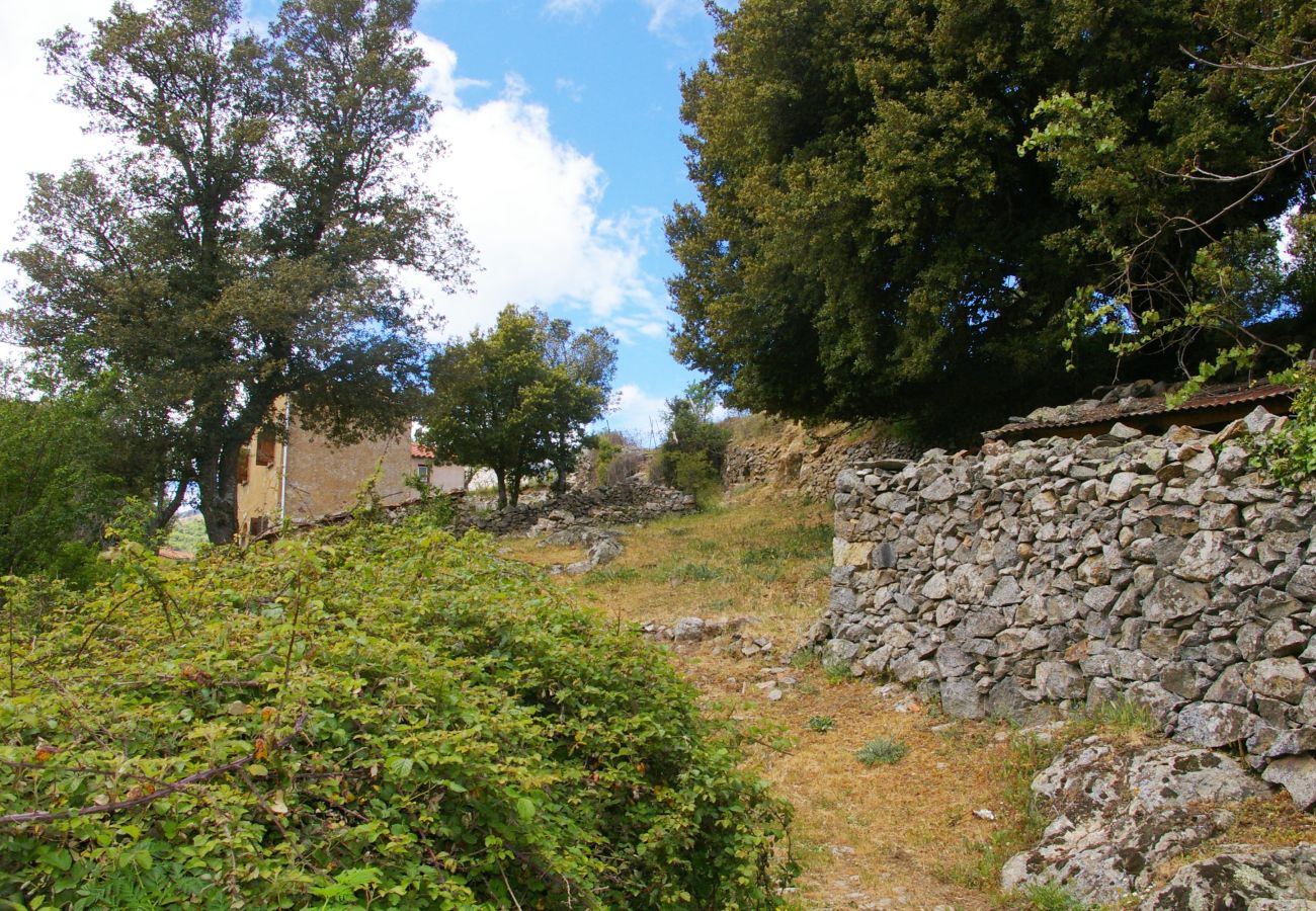 Casa a Olmi-Cappella - Casa Di Babbo