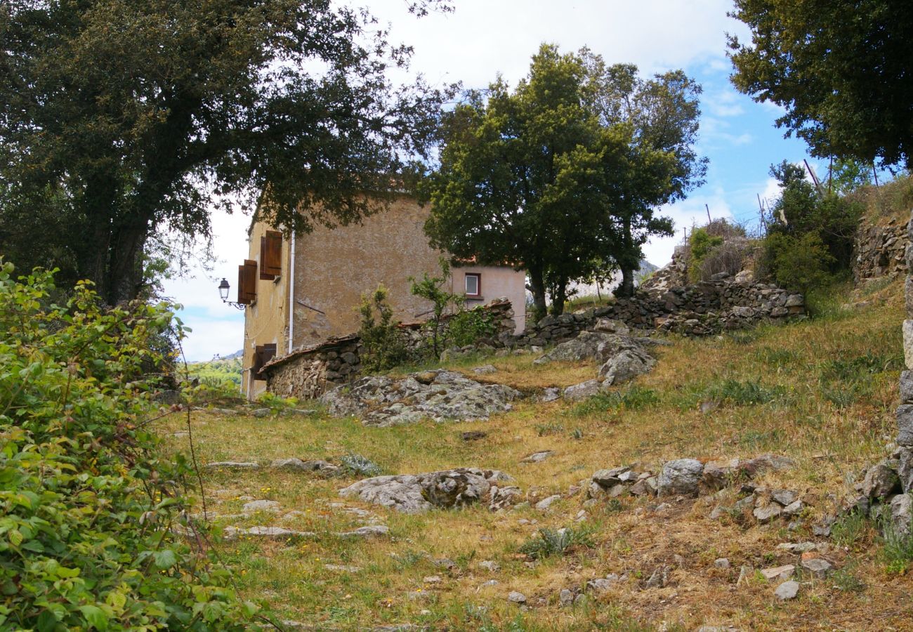 Casa a Olmi-Cappella - Casa Di Babbo