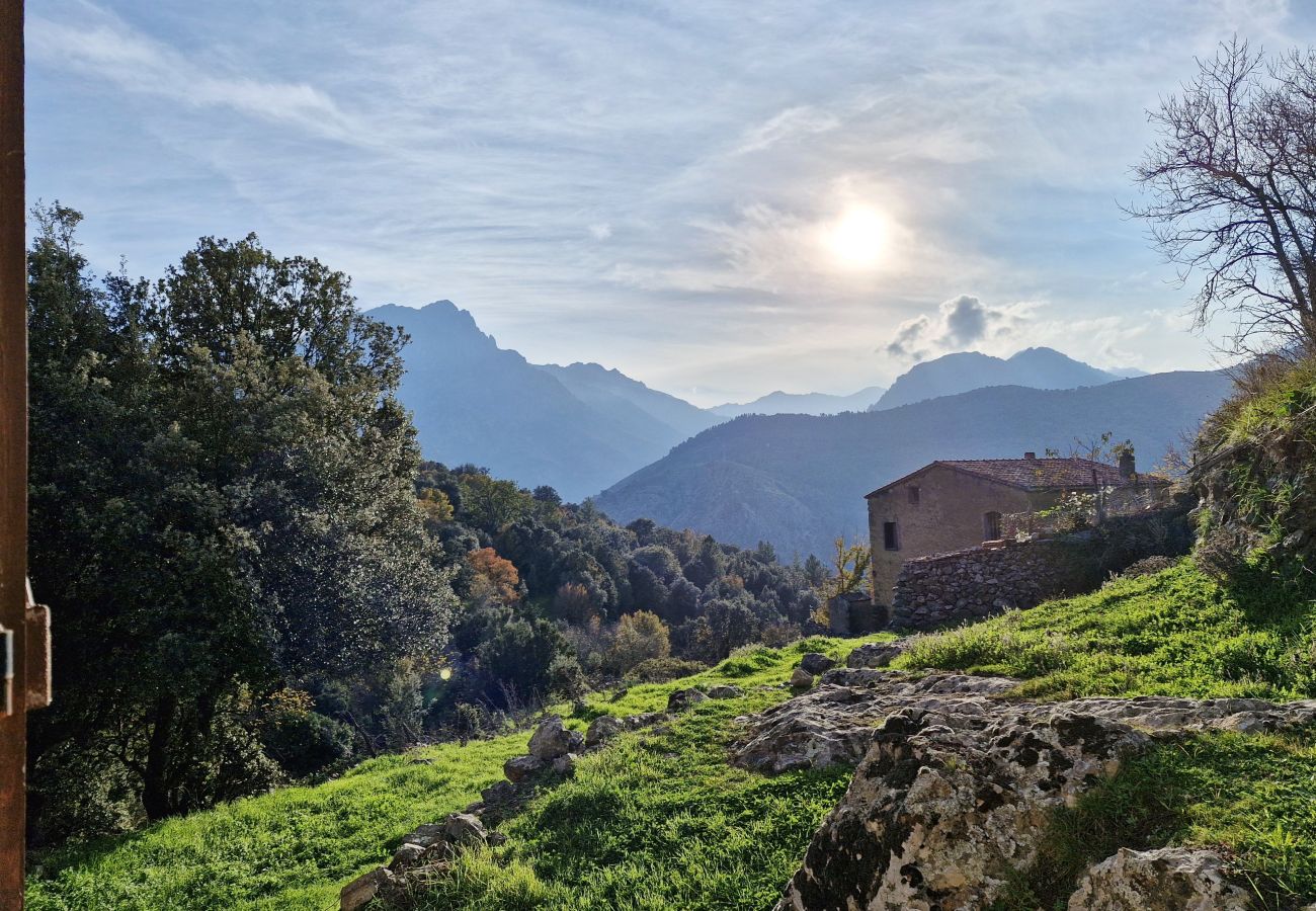 Casa a Olmi-Cappella - Casa Di Babbo