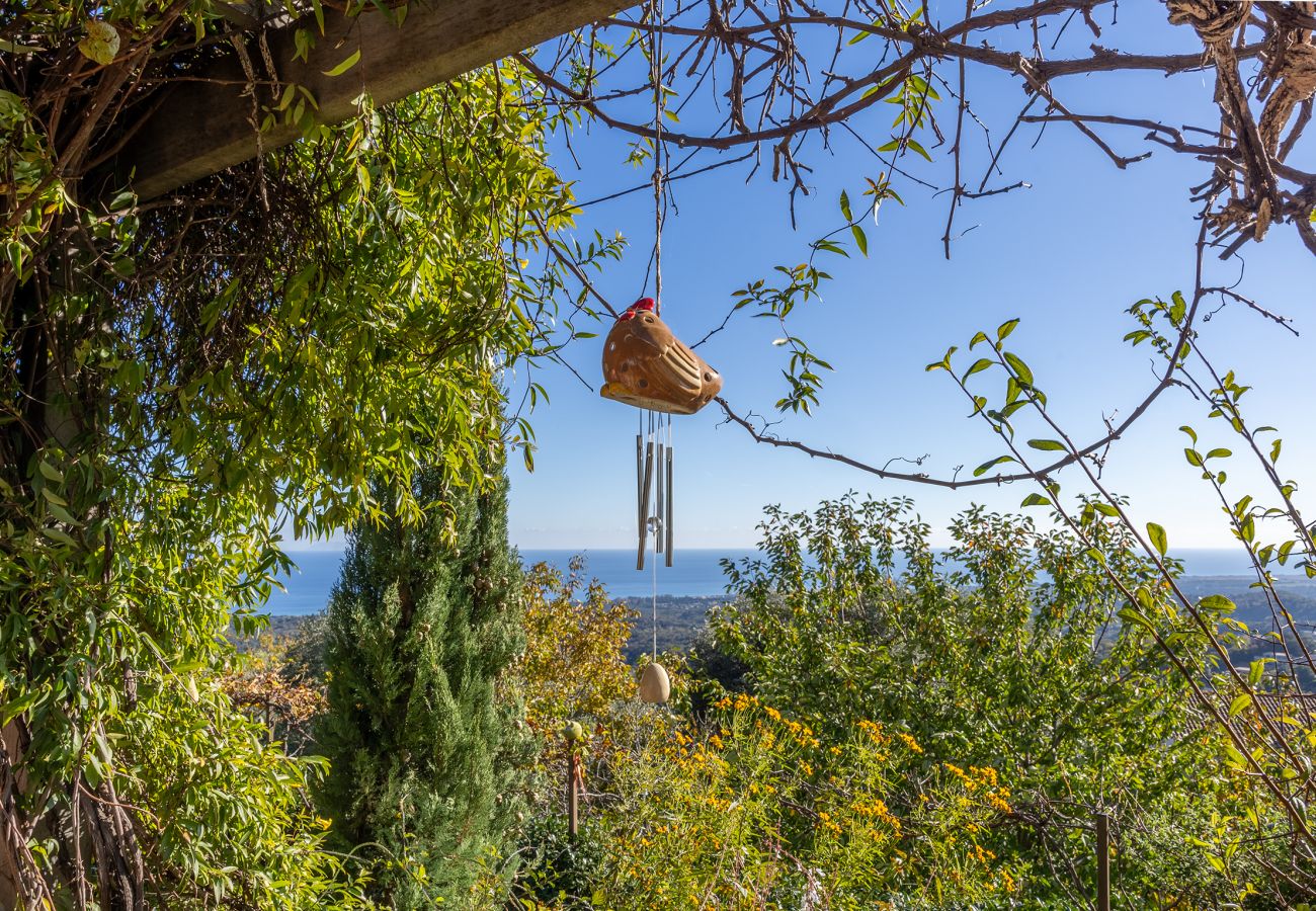 Maison à Valle-di-Campoloro - Maison E Tre Petre